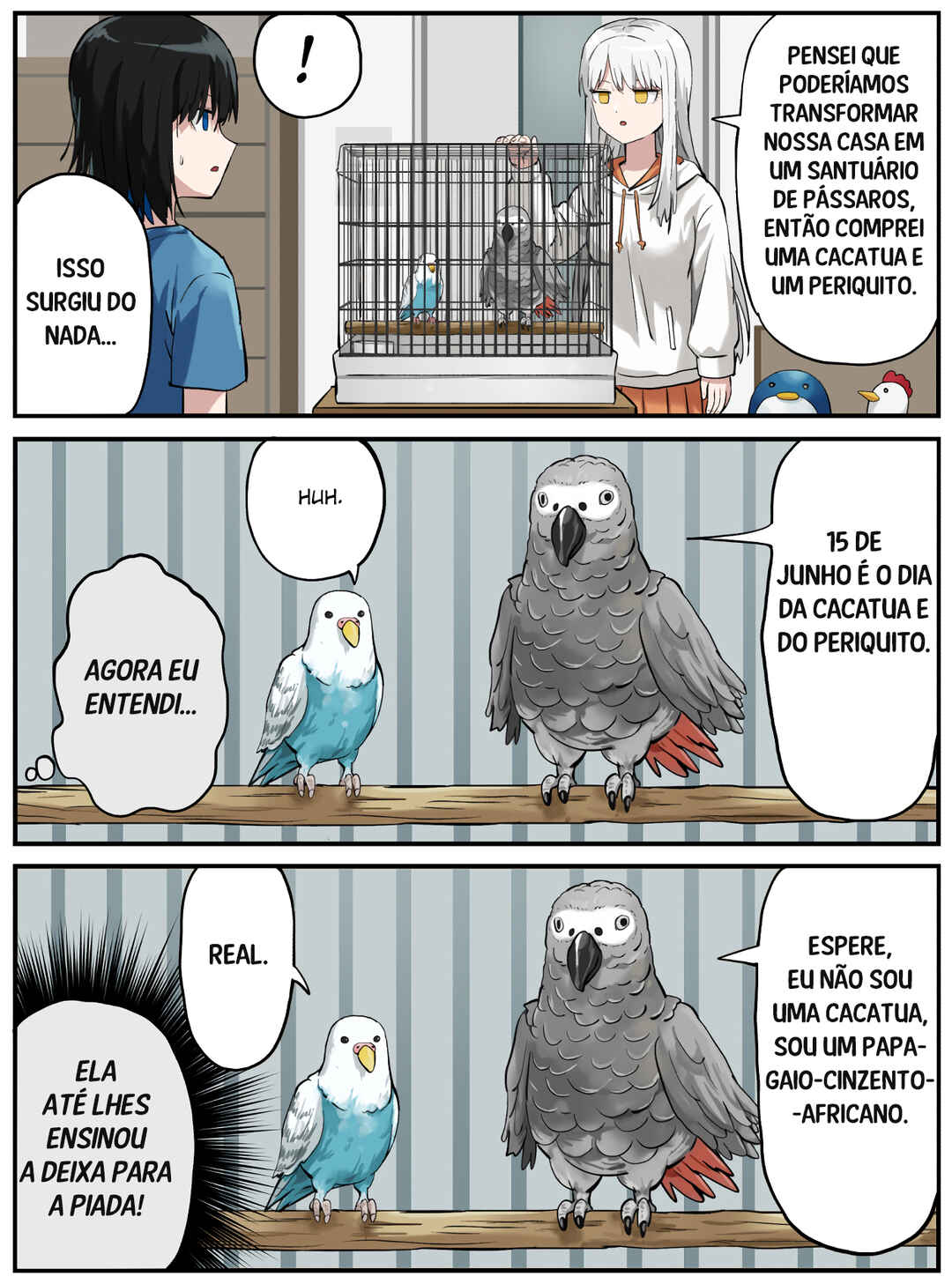 Página 3
