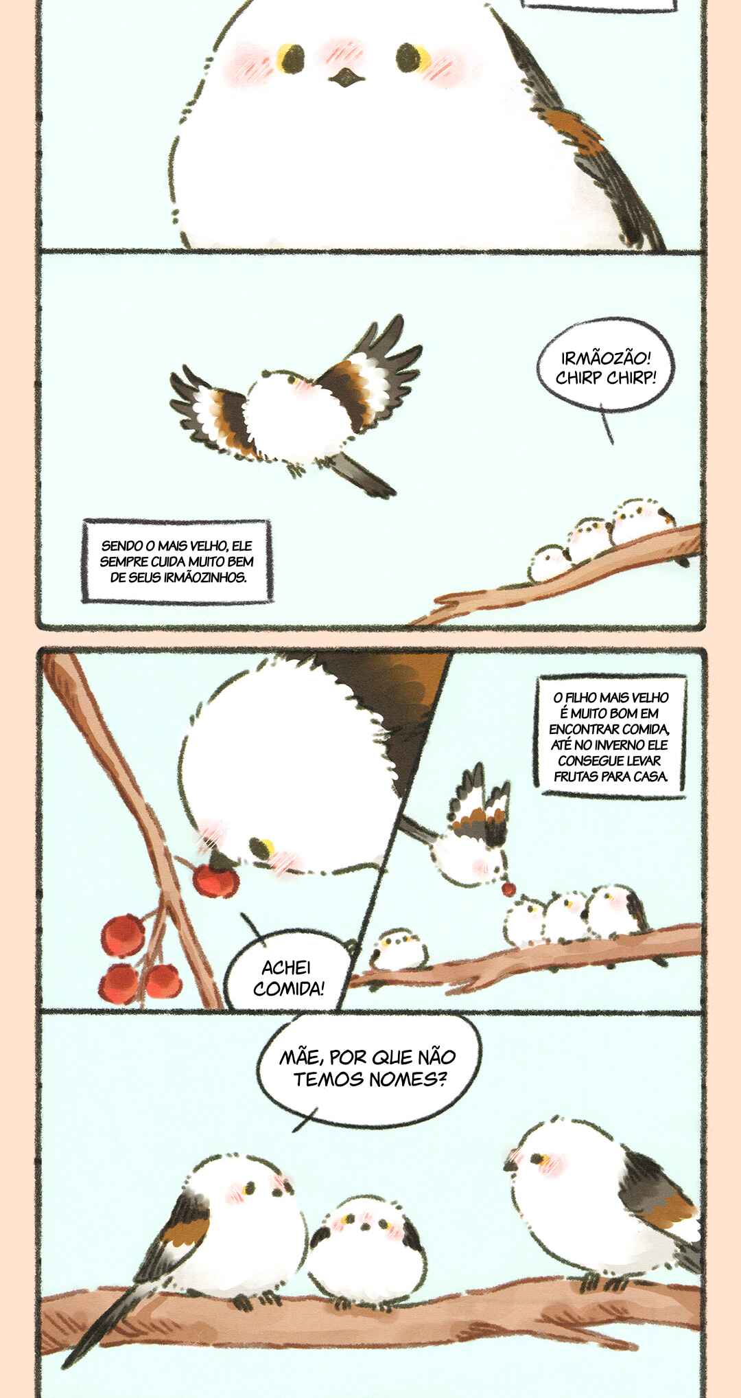Página 2