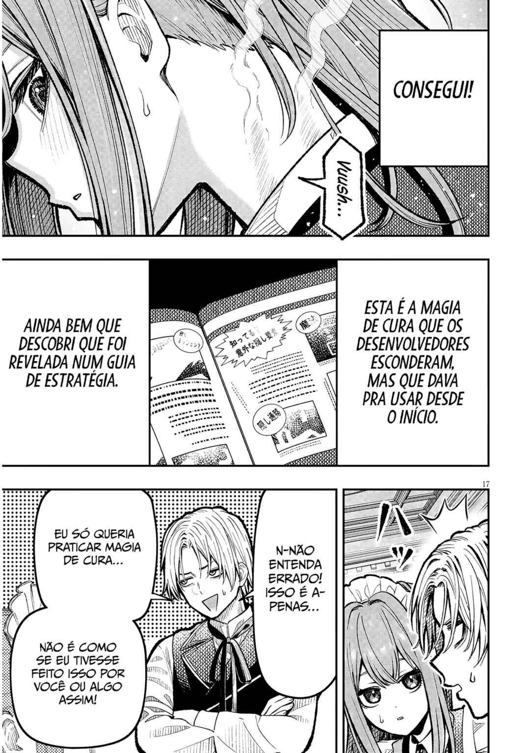 Página 17
