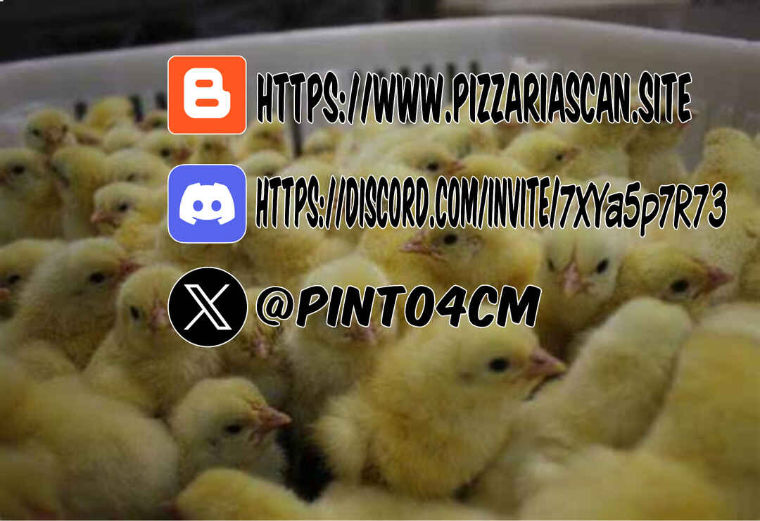Página 18