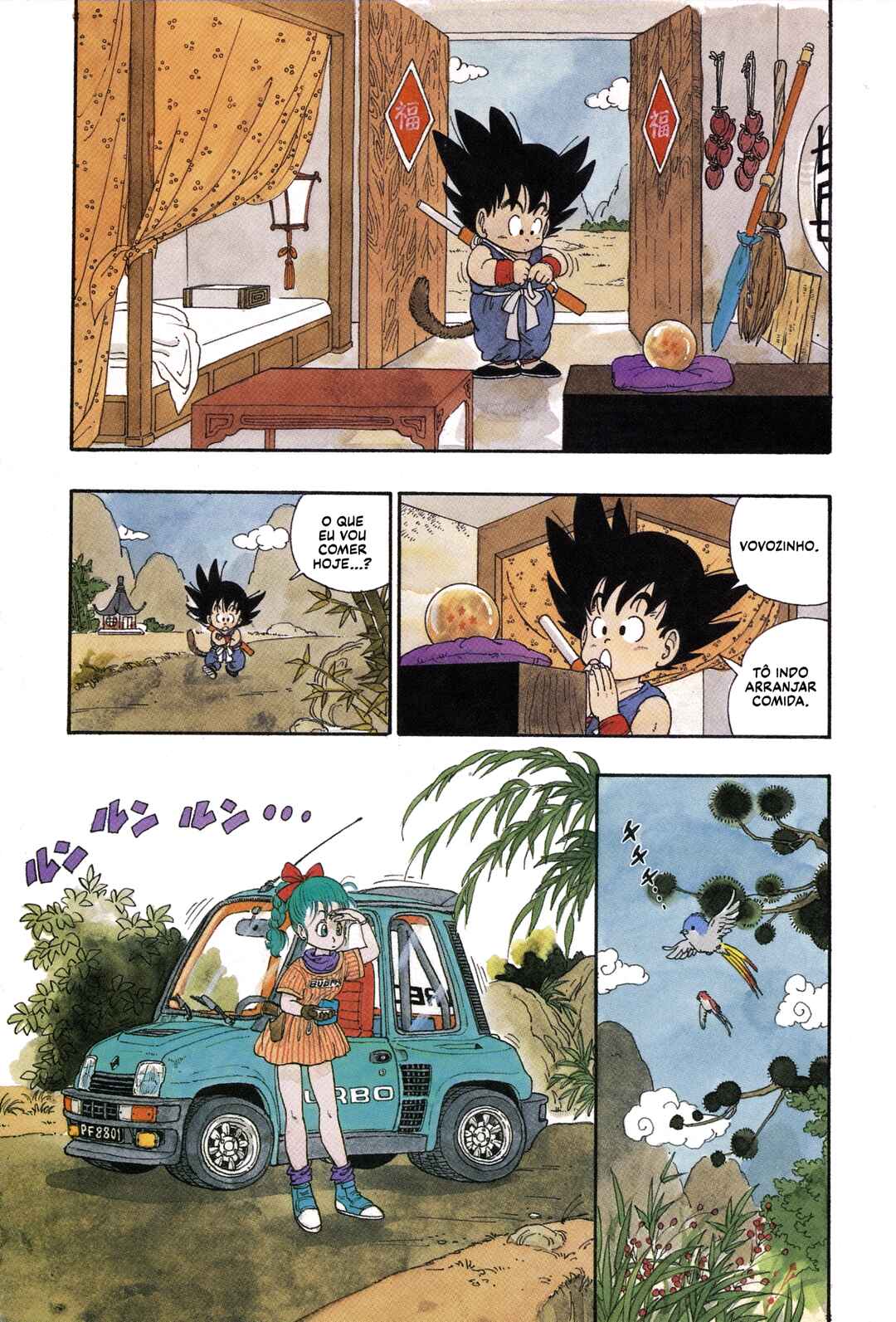 Página 5