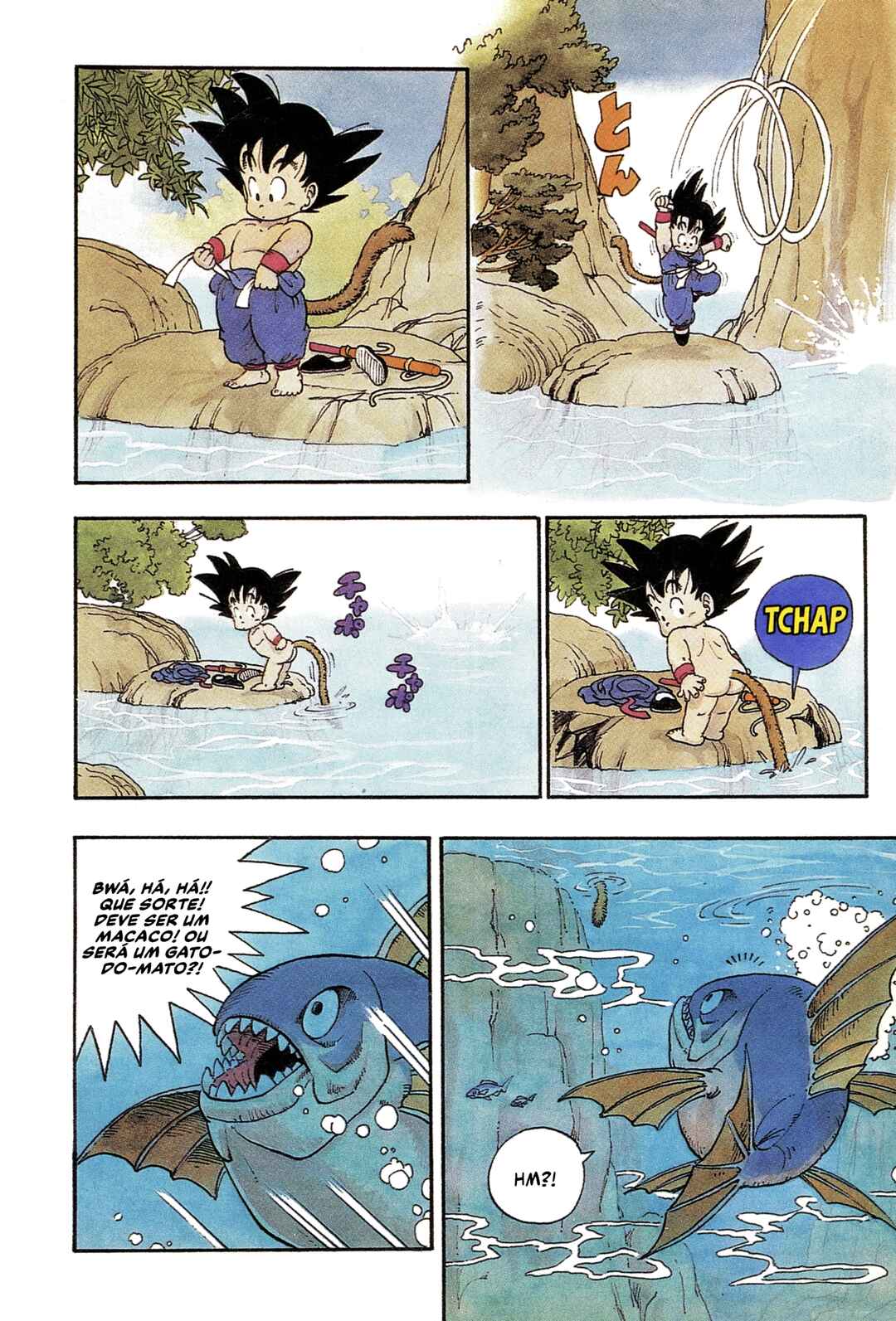 Página 8