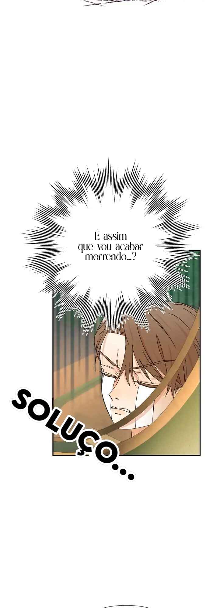 Página 48