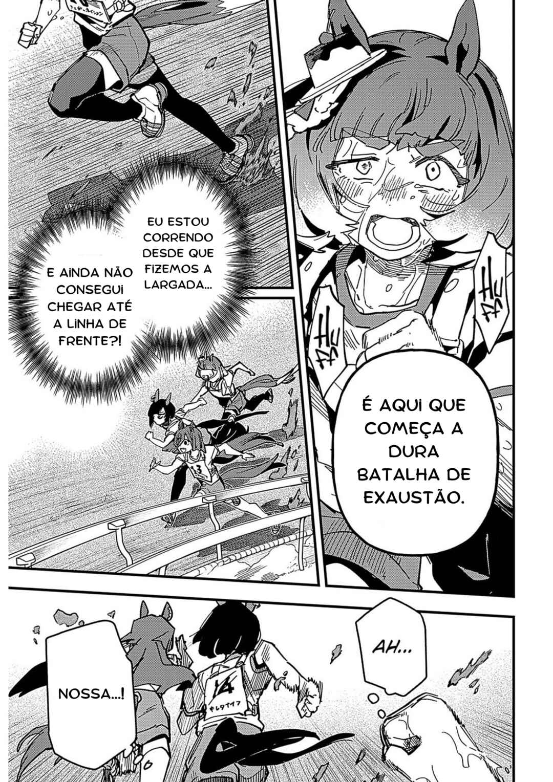 Página 14