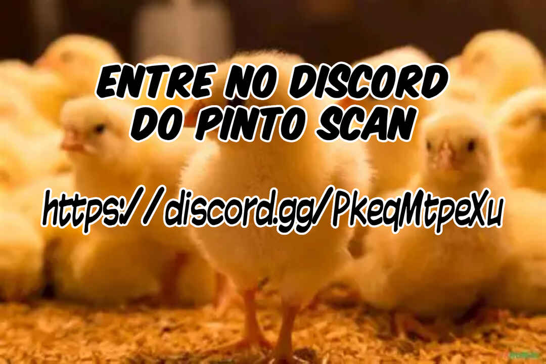 Página 33
