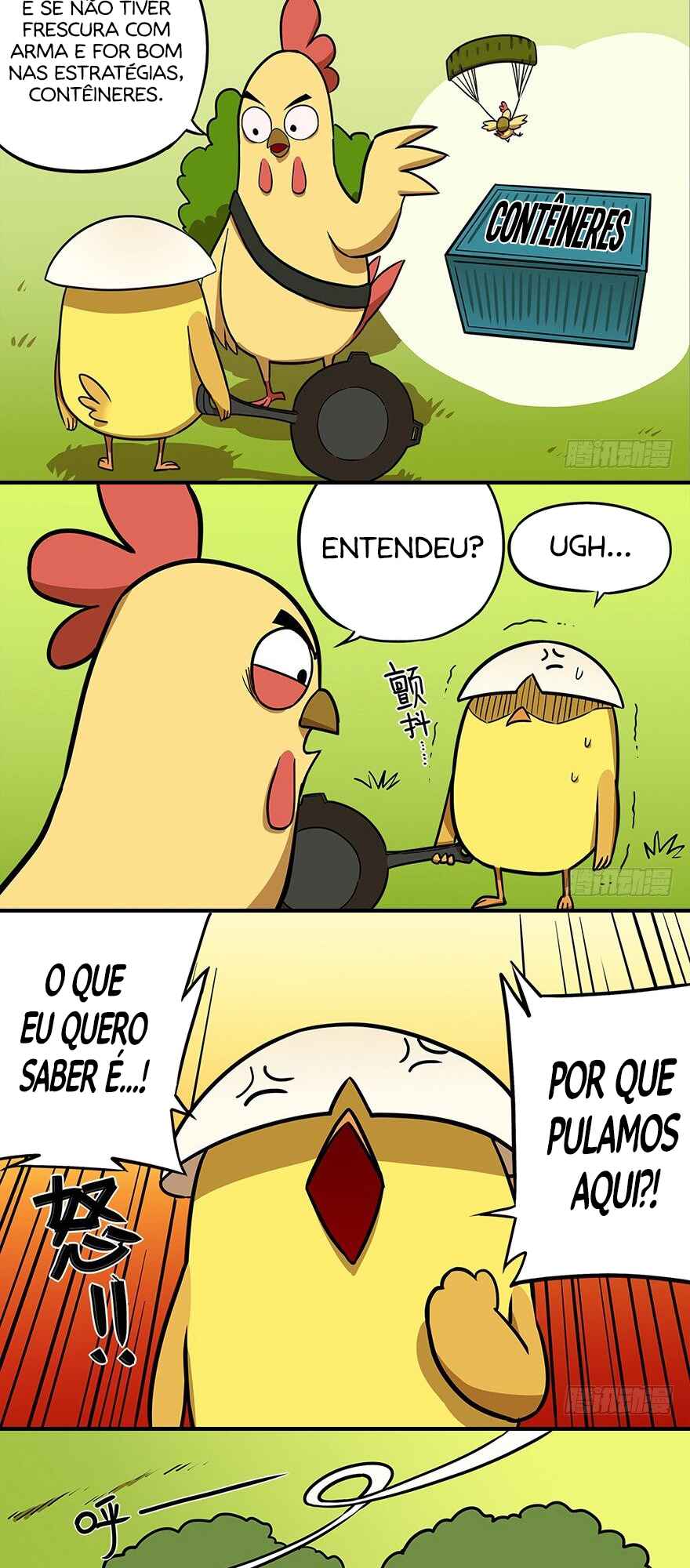 Página 4