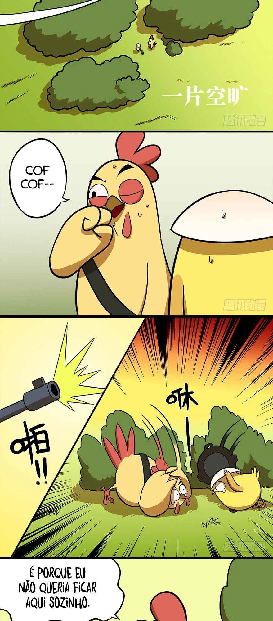 Página 5