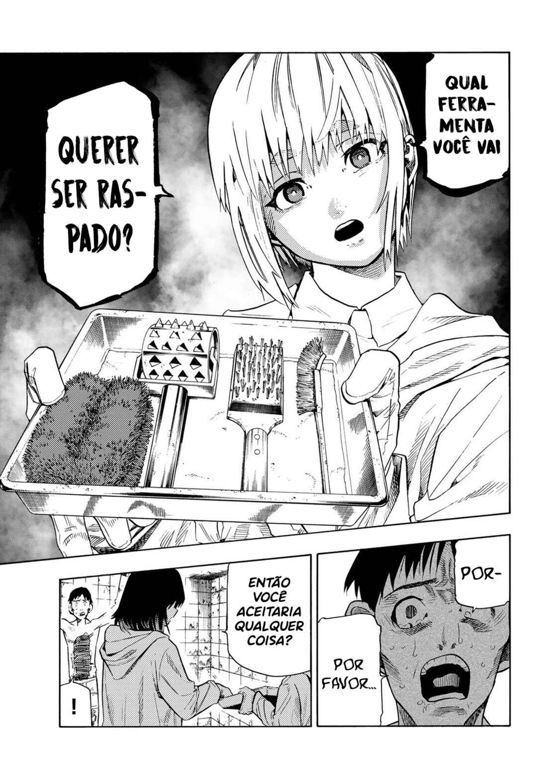 Página 17