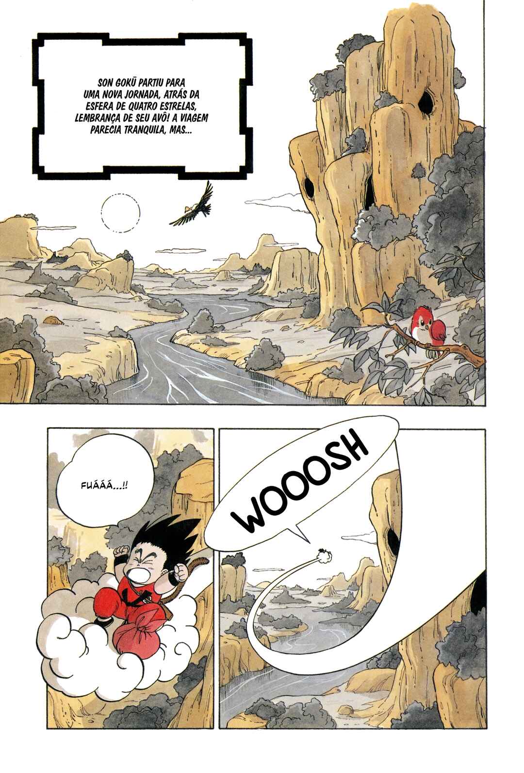 Página 2