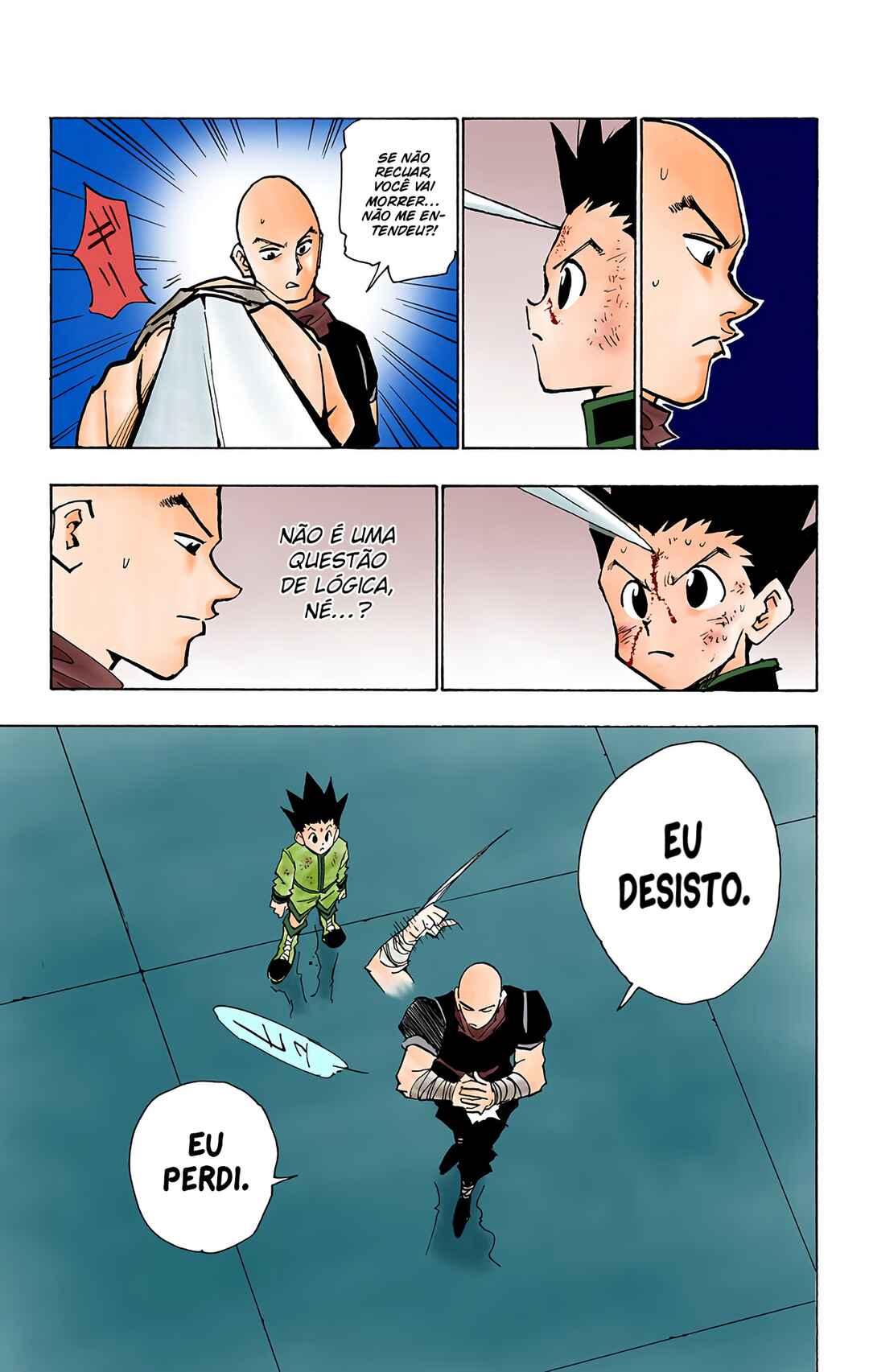 Página 17