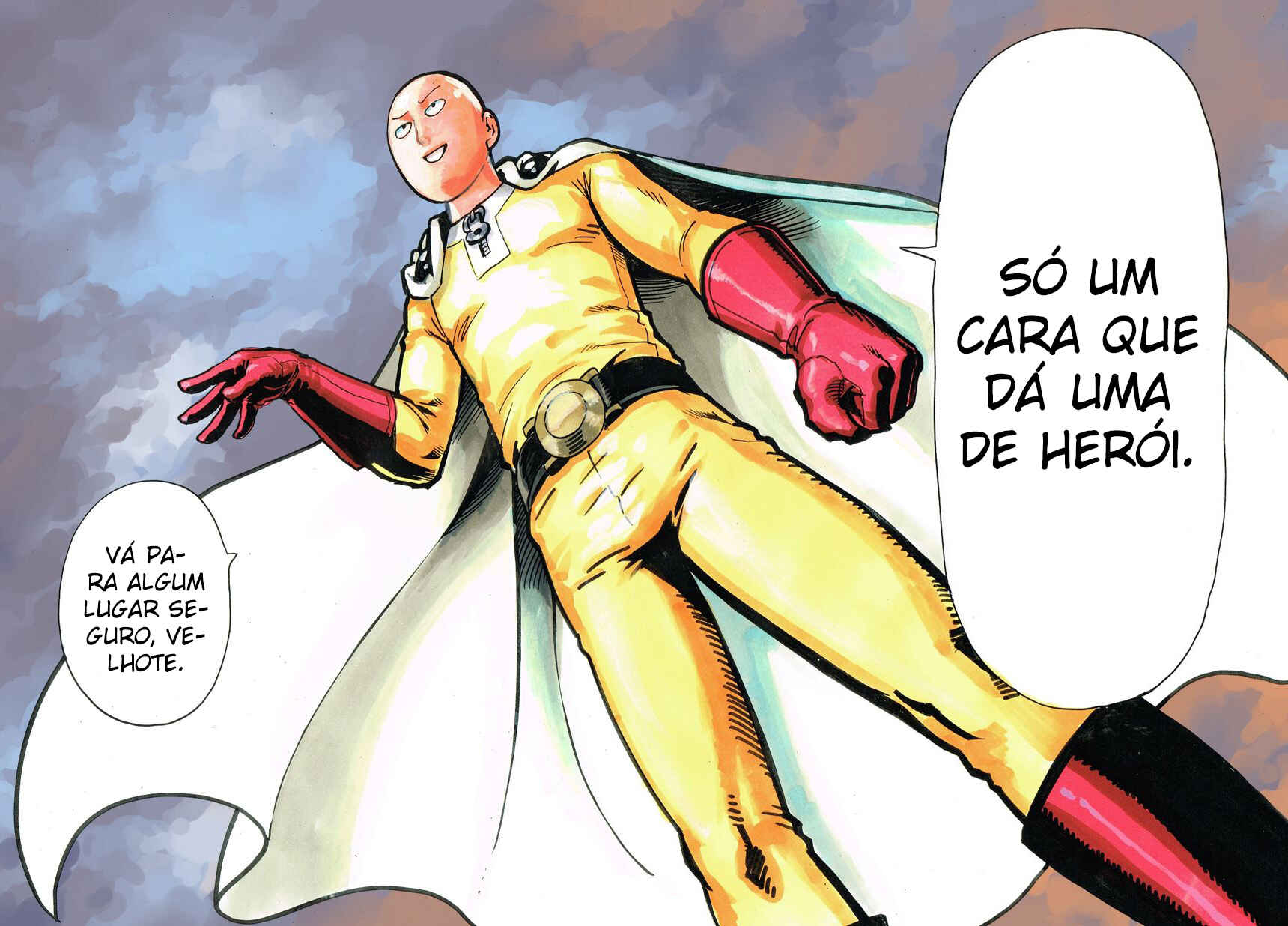 Página 101
