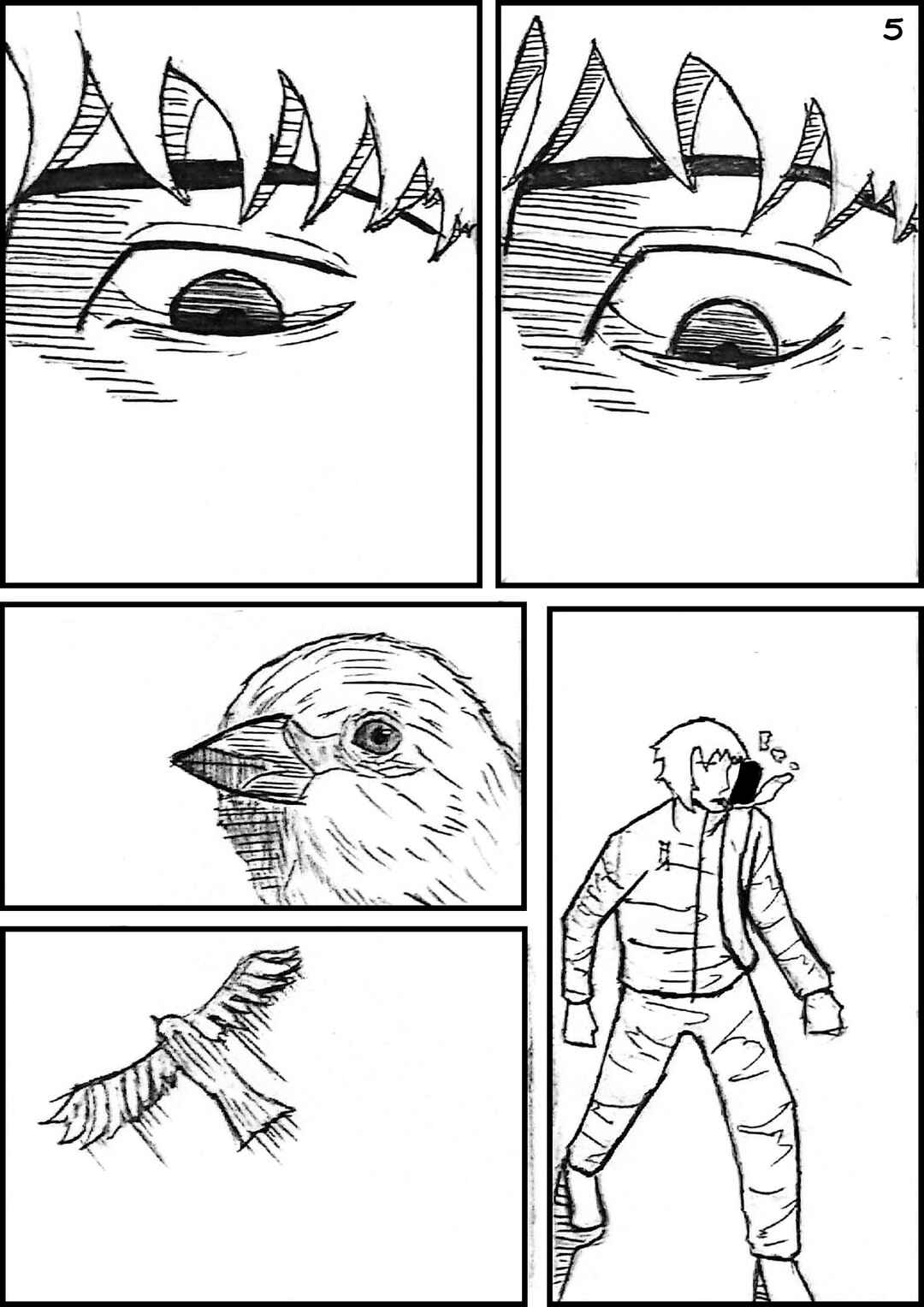 Página 5