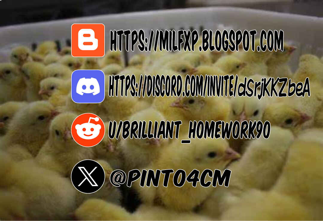 Página 43
