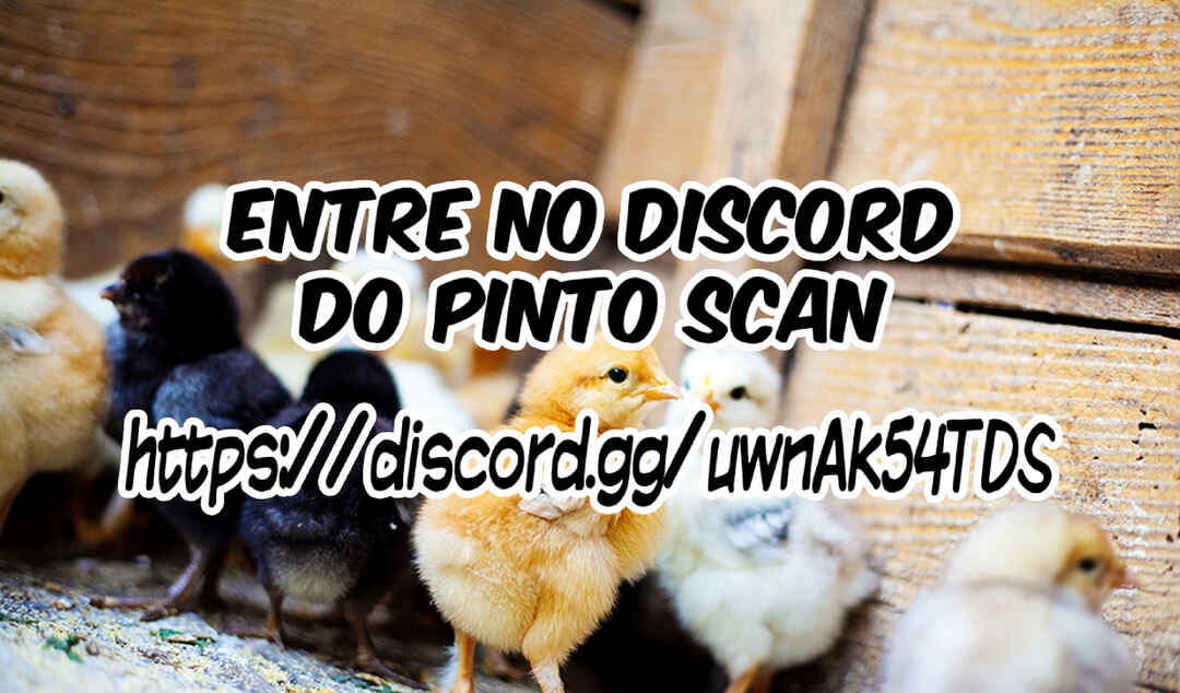 Página 27