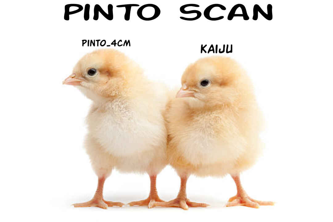 Página 1